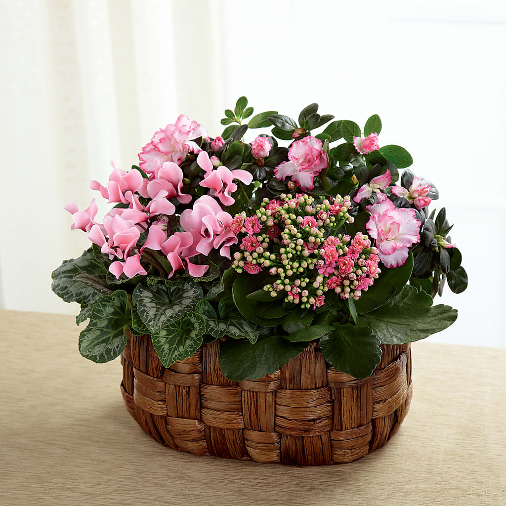 Pink Assortment – Lumaya Florals, Rock Hill SC