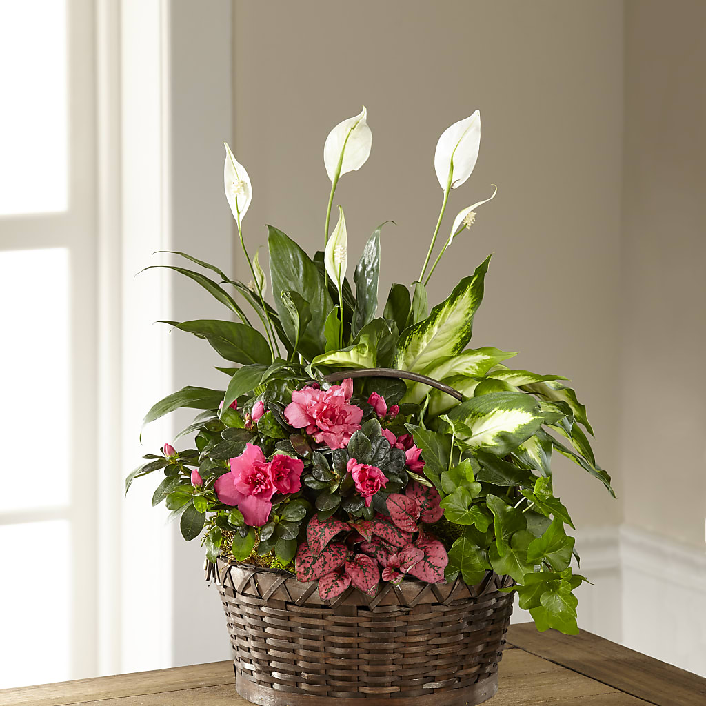 Dream in Pink Dishgarden – Lumaya Florals, Rock Hill SC