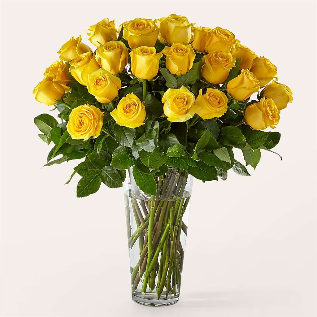 Long Stem Yellow Rose Bouquet – Lumaya Florals, Rock Hill SC