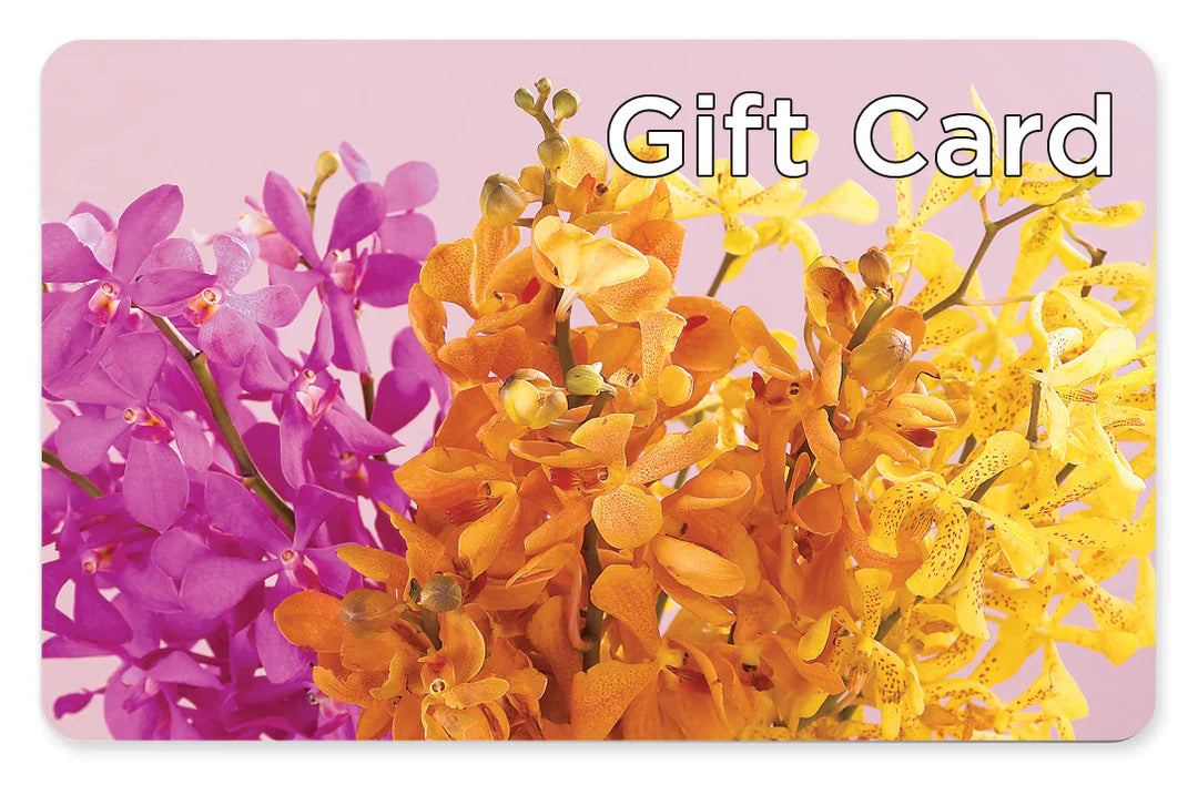 Gift Card – Lumaya Florals, Rock Hill SC