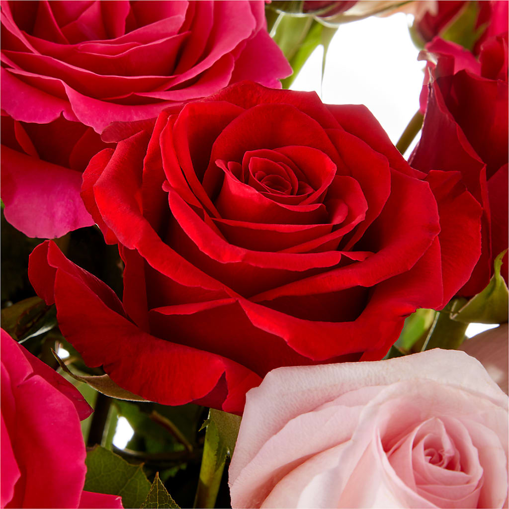 Love Notes Rose Bouquet – Lumaya Florals, Rock Hill SC