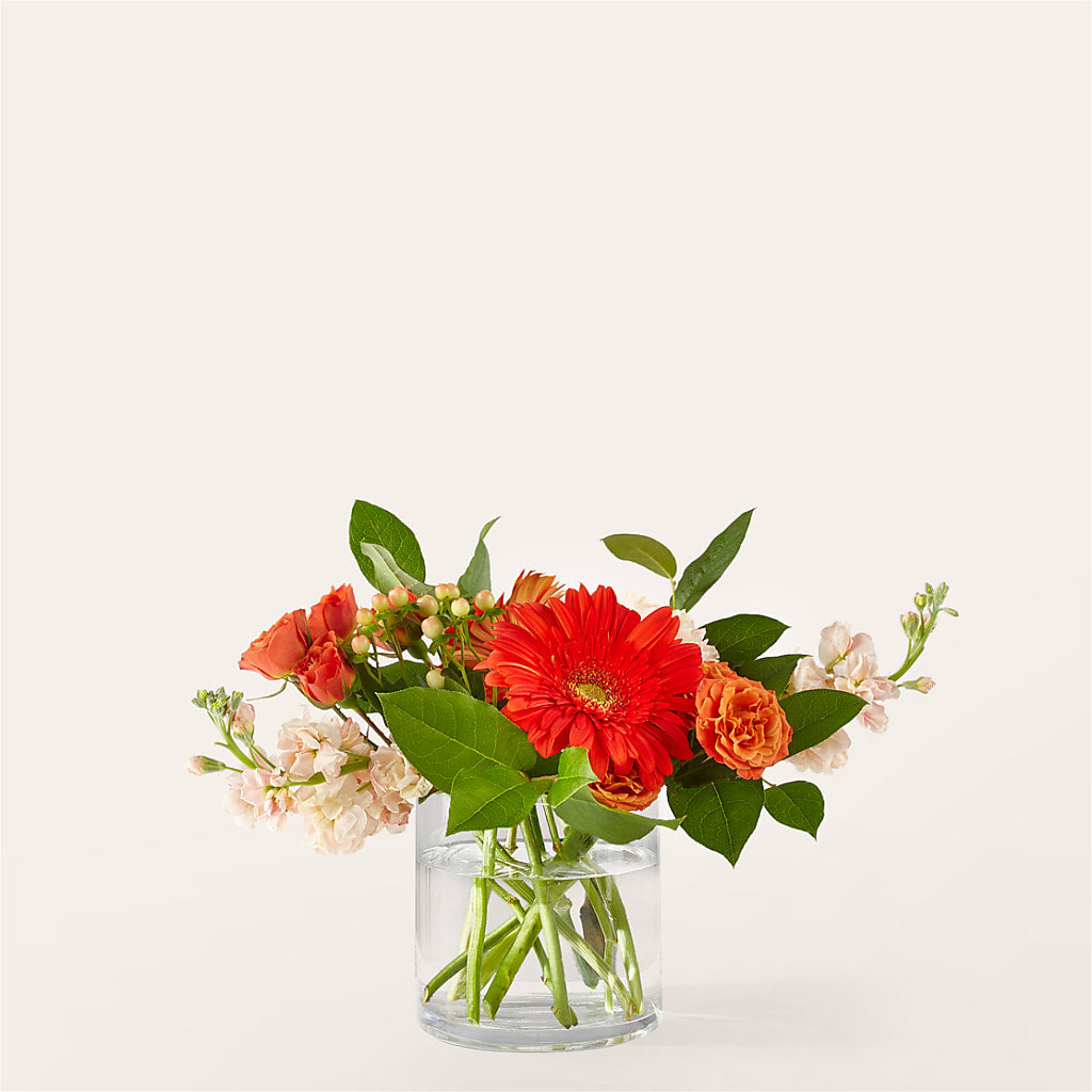 Paloma Please Bouquet – Lumaya Florals, Rock Hill SC