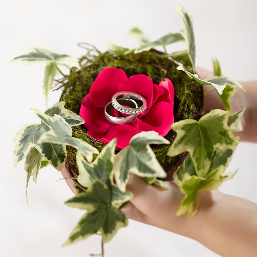 Lila Rose Ring Nest – Lumaya Florals, Rock Hill SC