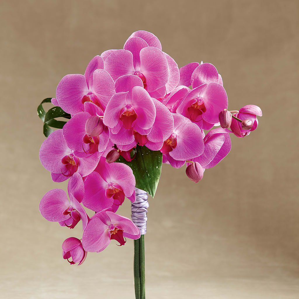 Glorious Bouquet – Lumaya Florals, Rock Hill SC