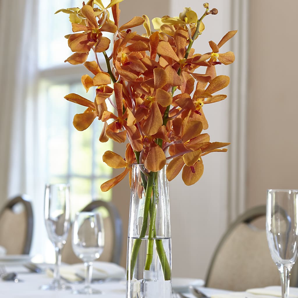 Orange Mokara Bud Vase – Lumaya Florals, Rock Hill SC
