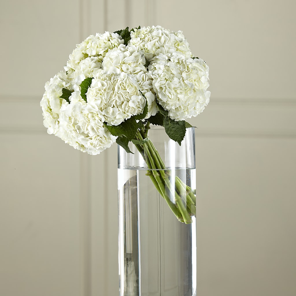 White Hydrangea Hand-Tied Bouquet – Lumaya Florals, Rock Hill SC