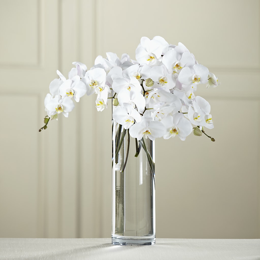 White Phalaenopsis Bouquet – Lumaya Florals, Rock Hill SC