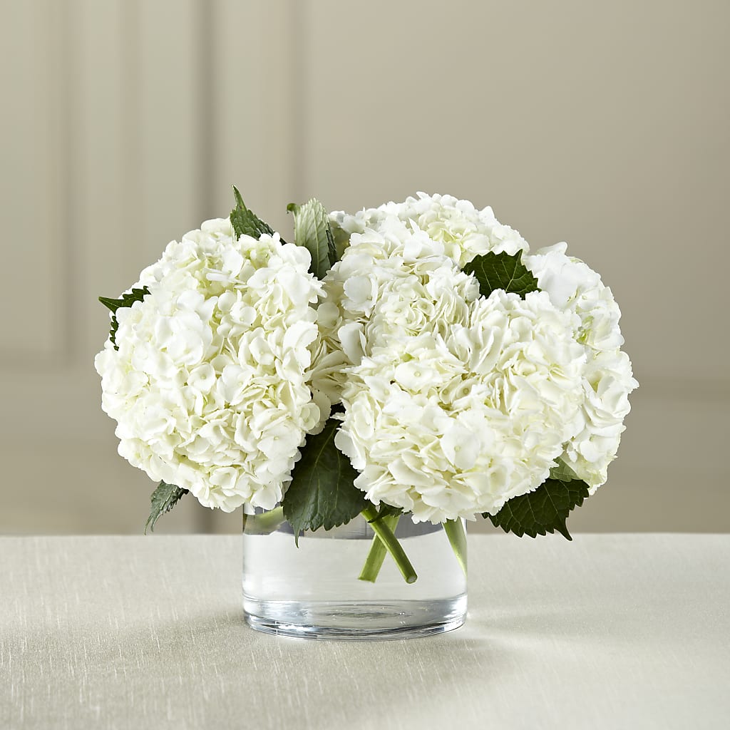 White Hydrangea Bouquet – Lumaya Florals, Rock Hill SC