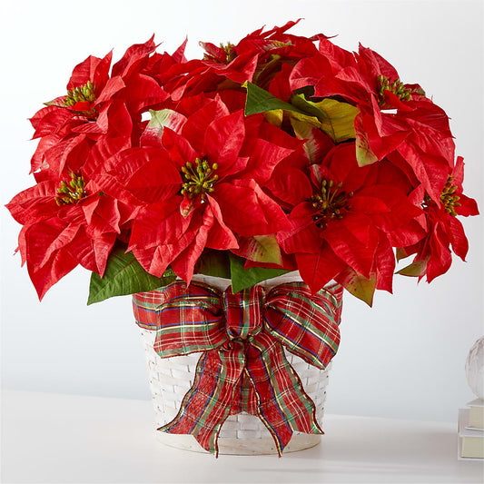 Happiest Holidays Poinsettia –  Lumaya Florals, Rock Hill SC