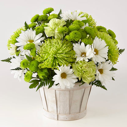 Lucky Charm Basket (Standard) –  Lumaya Florals, Rock Hill SC