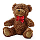 Adorable Plush Bear –  Lumaya Florals, Rock Hill SC
