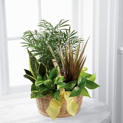 French Garden –  Lumaya Florals, Rock Hill SC
