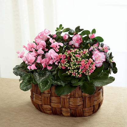 Pink Assortment –  Lumaya Florals, Rock Hill SC
