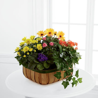 Gentle Blossoms Basket –  Lumaya Florals, Rock Hill SC