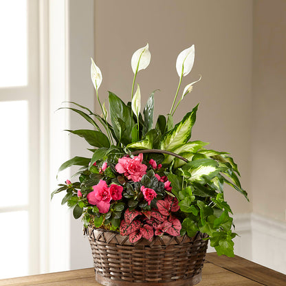 Dream in Pink Dishgarden –  Lumaya Florals, Rock Hill SC