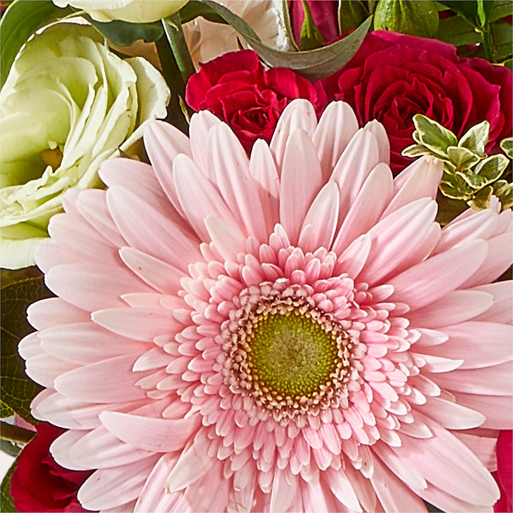 Too Cute Bouquet –  Lumaya Florals, Rock Hill SC