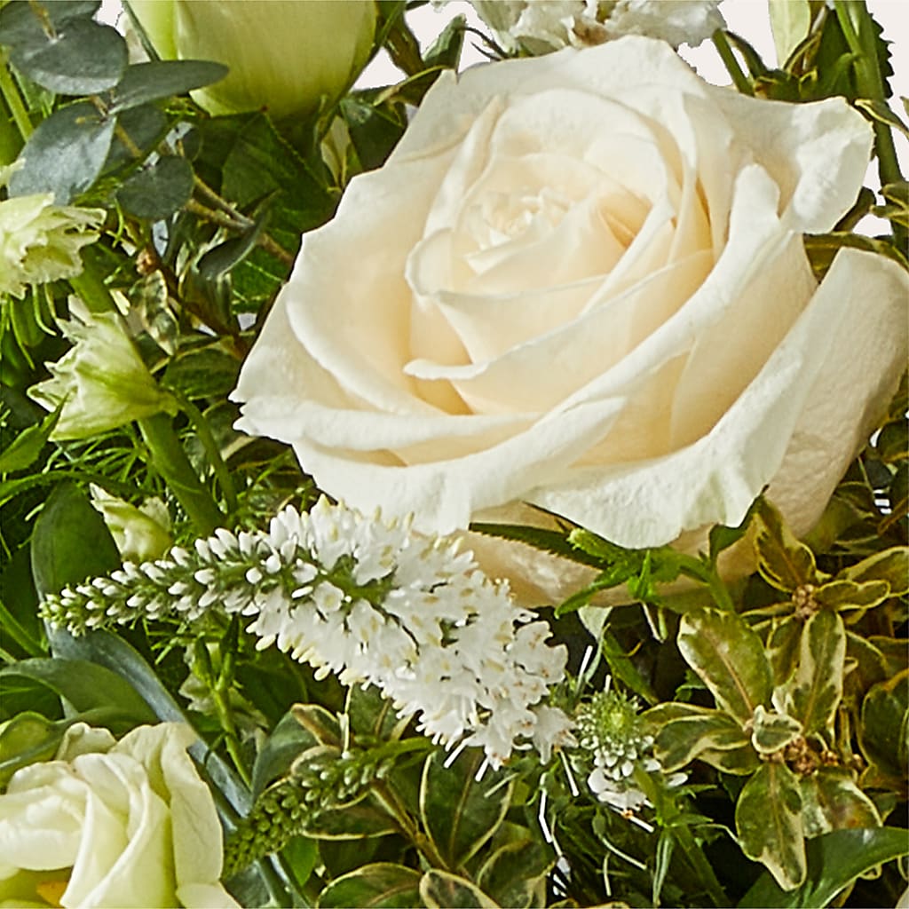 Cashmere Bouquet –  Lumaya Florals, Rock Hill SC