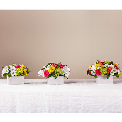 Sorbet Bouquet –  Lumaya Florals, Rock Hill SC