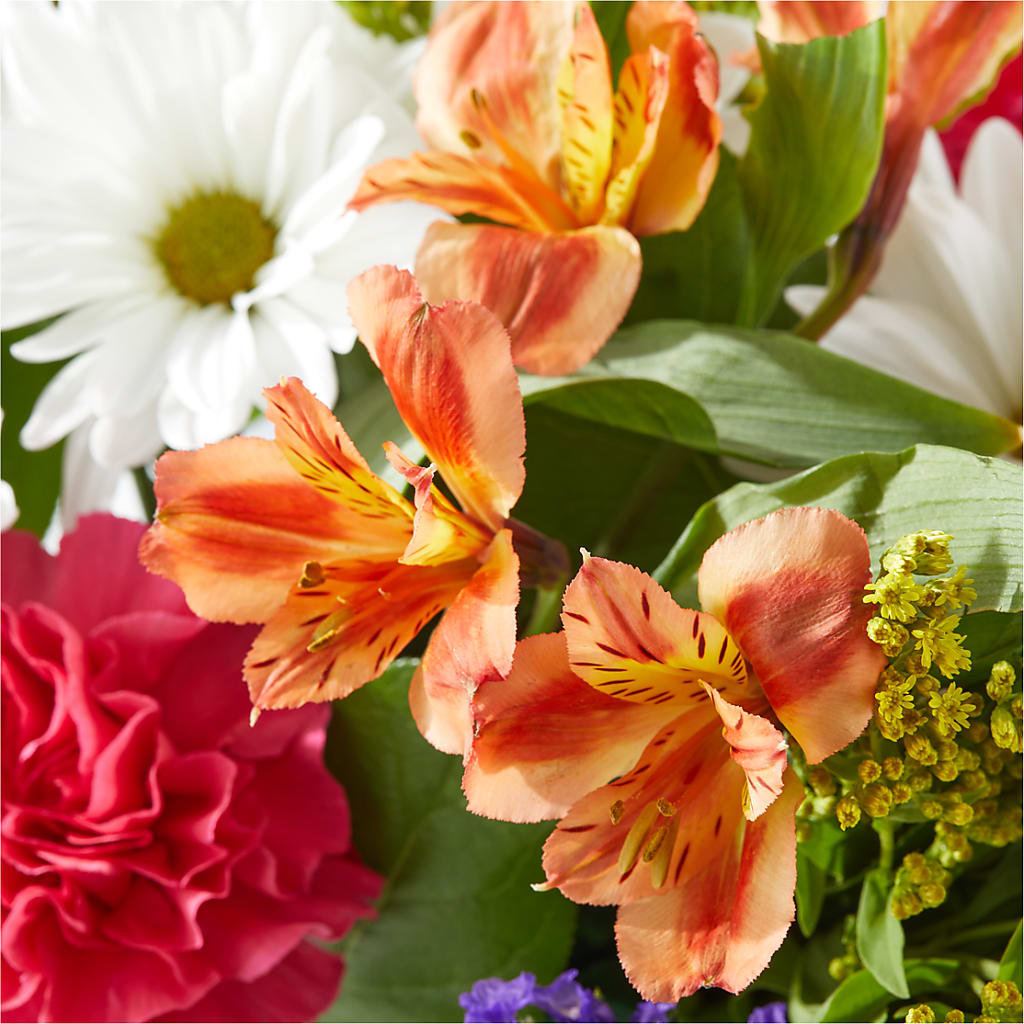 Oopsie Daisy Box Bouquet –  Lumaya Florals, Rock Hill SC