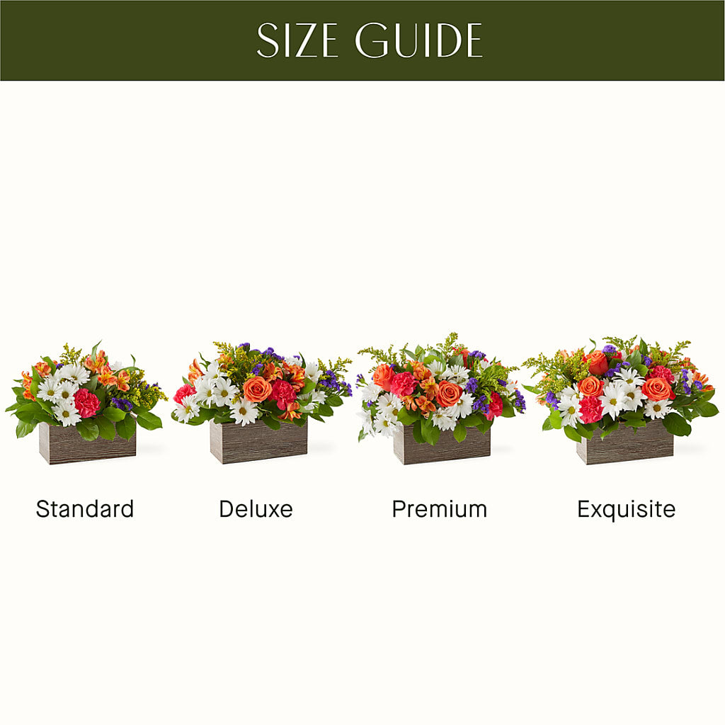 Oopsie Daisy Box Bouquet –  Lumaya Florals, Rock Hill SC