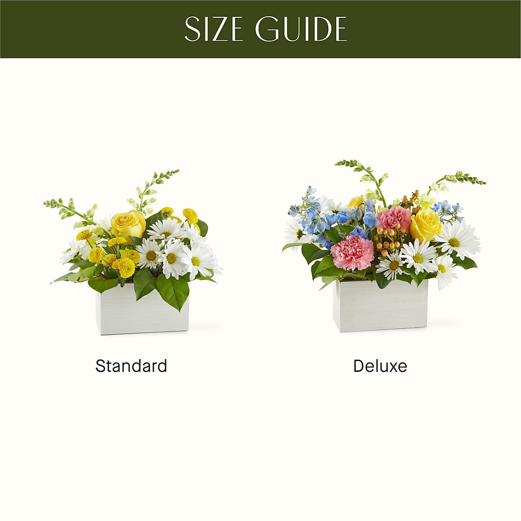Sun Salutation Box Bouquet –  Lumaya Florals, Rock Hill SC
