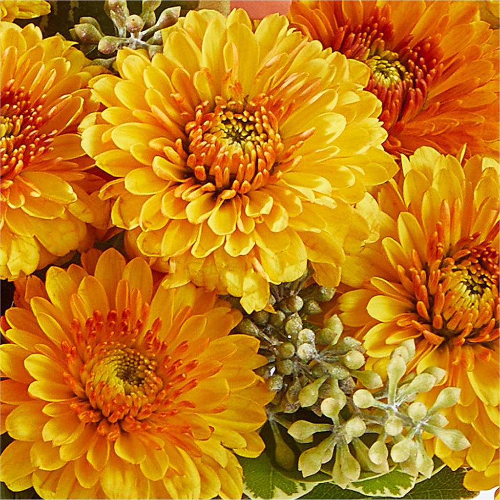 Peachy Pumpkin –  Lumaya Florals, Rock Hill SC