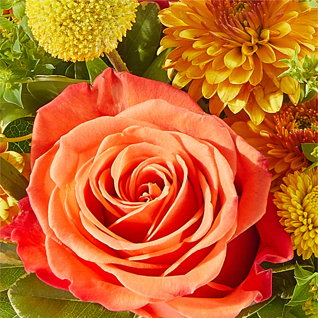 Gourdgeous Pumpkin –  Lumaya Florals, Rock Hill SC