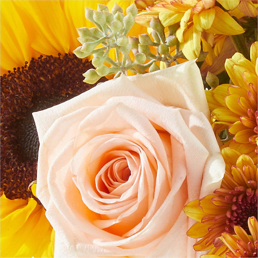 Pumpkin to Talk About Bouquet –  Lumaya Florals, Rock Hill SC