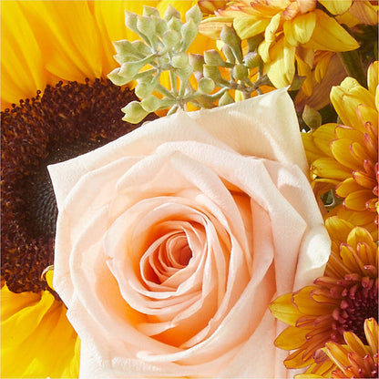 Pumpkin to Talk About Bouquet –  Lumaya Florals, Rock Hill SC