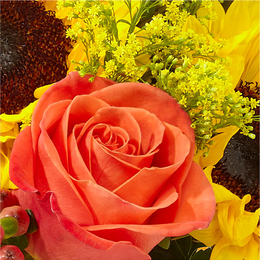 Pick of the Patch Pumpkin Bouquet –  Lumaya Florals, Rock Hill SC