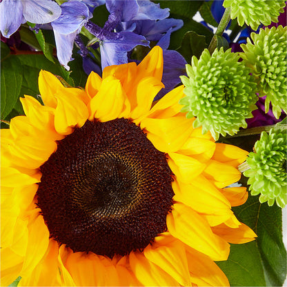 Catching Rays Bouquet –  Lumaya Florals, Rock Hill SC