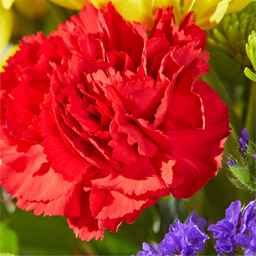 Brighter Days Bouquet –  Lumaya Florals, Rock Hill SC
