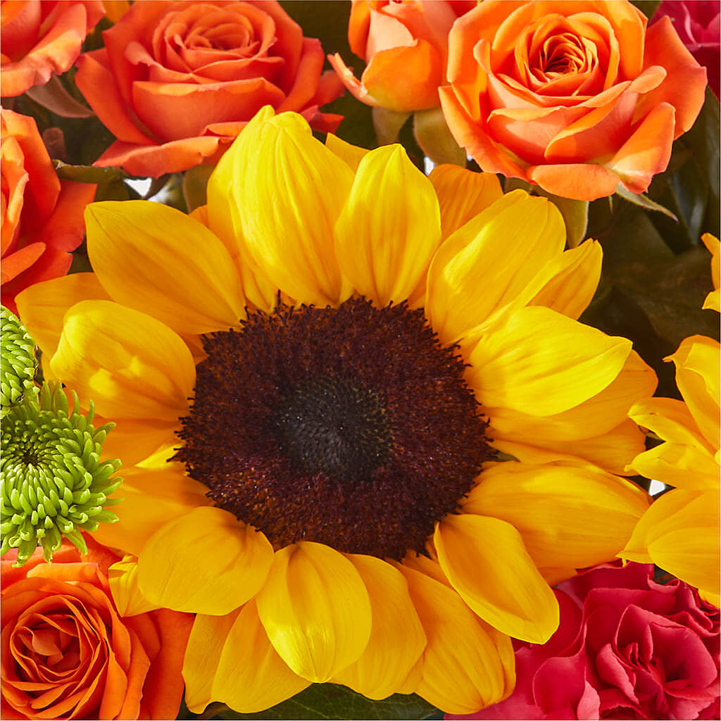 Sun-drenched Blooms Box Bouquet –  Lumaya Florals, Rock Hill SC