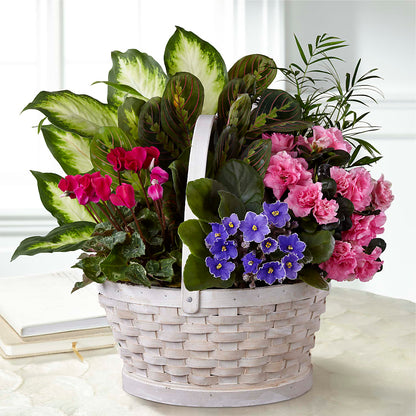 Peaceful Garden Planter –  Lumaya Florals, Rock Hill SC