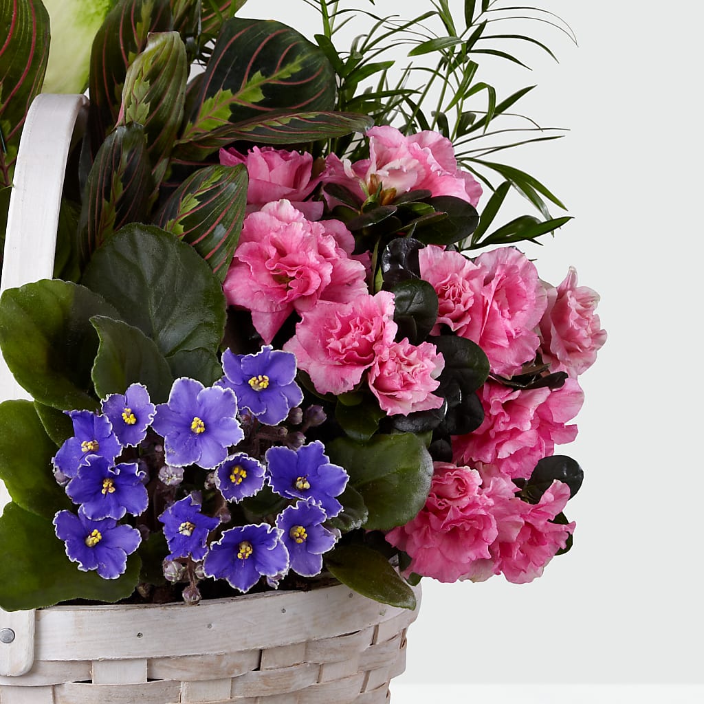 Peaceful Garden Planter –  Lumaya Florals, Rock Hill SC