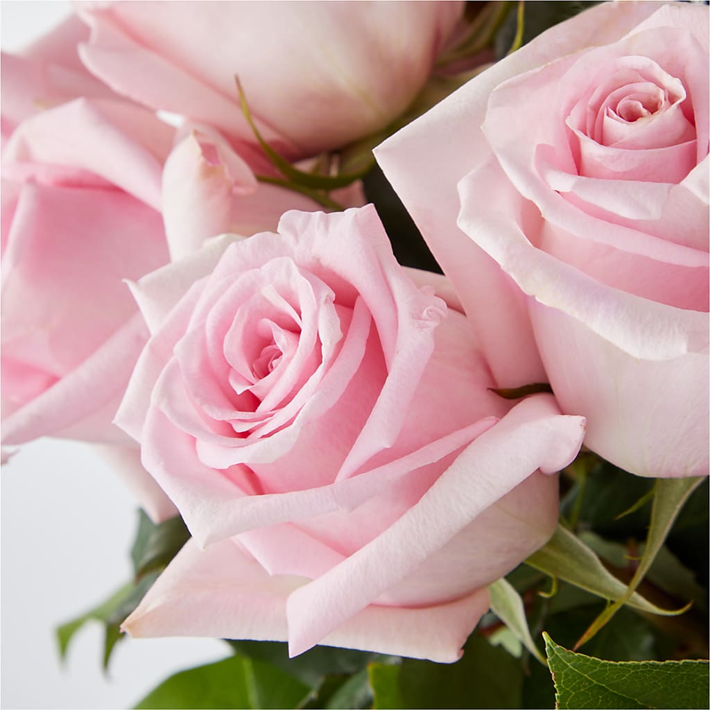 Picture Perfect Pink Rose Bouquet –  Lumaya Florals, Rock Hill SC