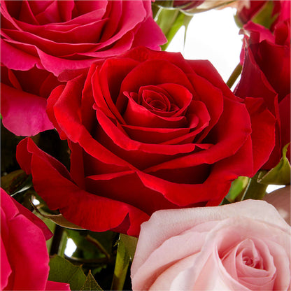 Love Notes Rose Bouquet –  Lumaya Florals, Rock Hill SC