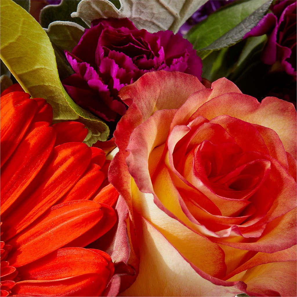 Sangria Bouquet –  Lumaya Florals, Rock Hill SC