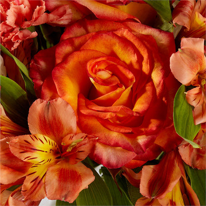 Apricot Glow Bouquet –  Lumaya Florals, Rock Hill SC
