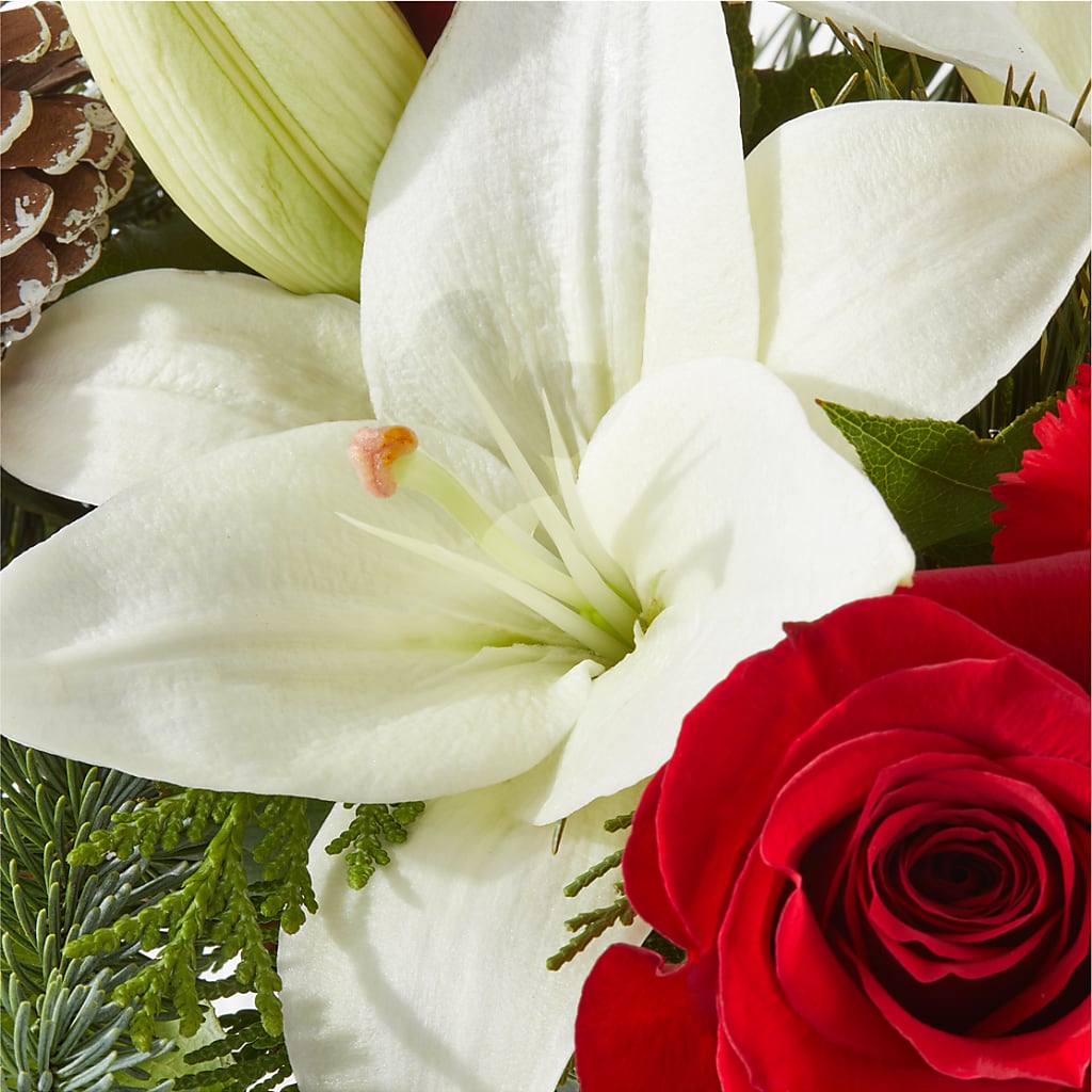 Oh So Jolly Bouquet –  Lumaya Florals, Rock Hill SC