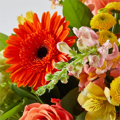 Autumn Sunshine Bouquet –  Lumaya Florals, Rock Hill SC