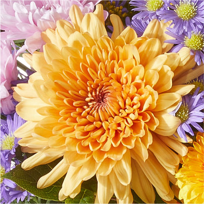 Countryside Bouquet –  Lumaya Florals, Rock Hill SC