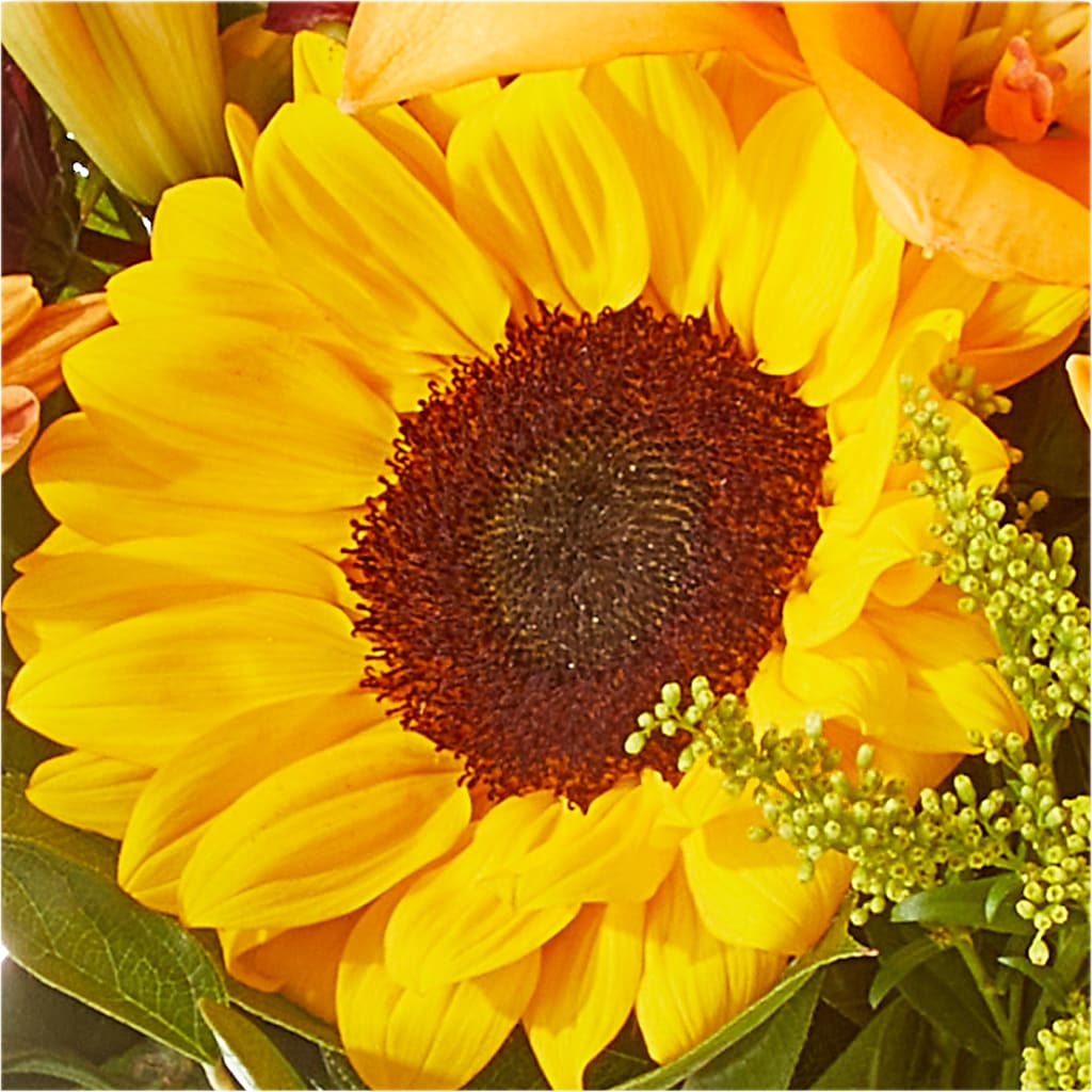 Seasons Change Bouquet –  Lumaya Florals, Rock Hill SC