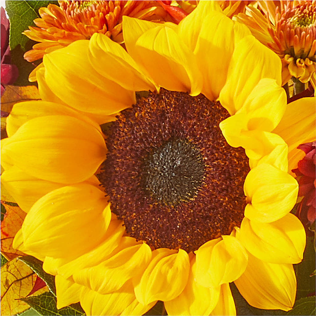 Sunny Side Bouquet –  Lumaya Florals, Rock Hill SC