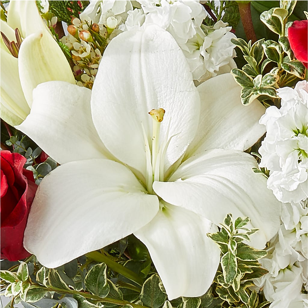 Twinkle Lights Bouquet –  Lumaya Florals, Rock Hill SC