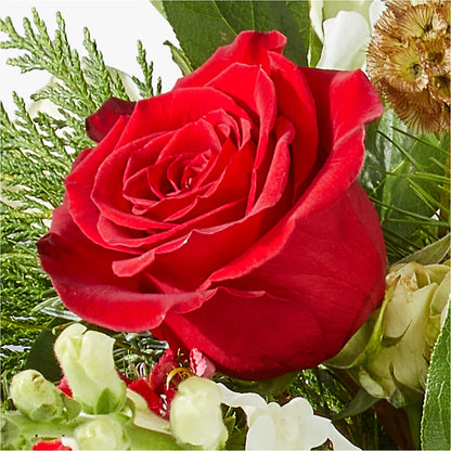 Deck the Halls Bouquet –  Lumaya Florals, Rock Hill SC