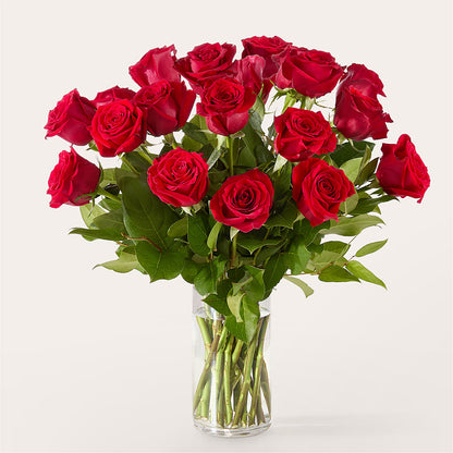 The One Red Rose Bouquet –  Lumaya Florals, Rock Hill SC
