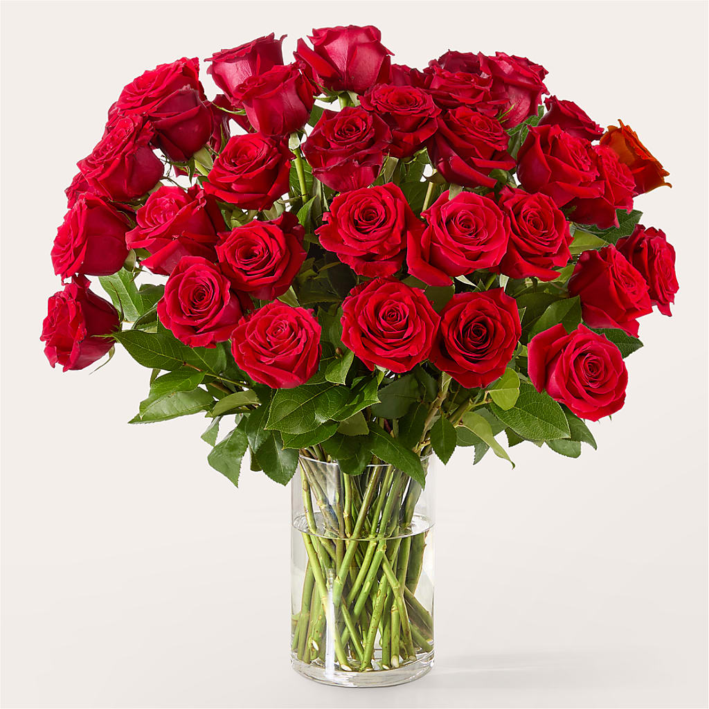 The One Red Rose Bouquet –  Lumaya Florals, Rock Hill SC