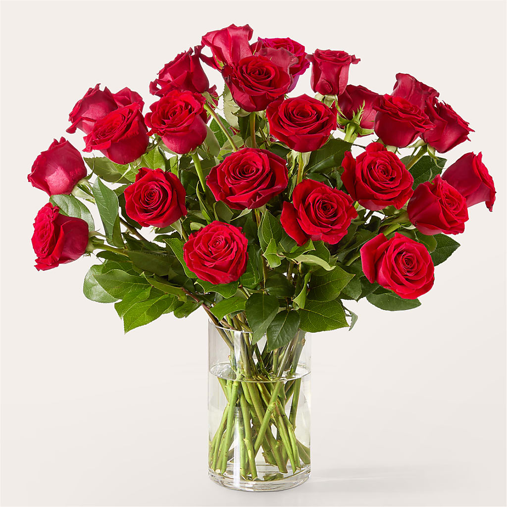 The One Red Rose Bouquet –  Lumaya Florals, Rock Hill SC