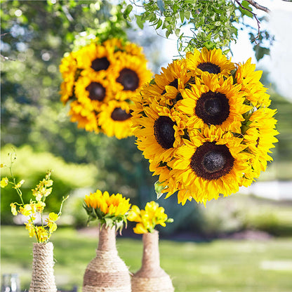 Sublime Garden Hanging Arrangement –  Lumaya Florals, Rock Hill SC